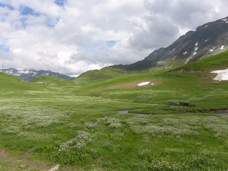 Beaufortain mountain pastures
