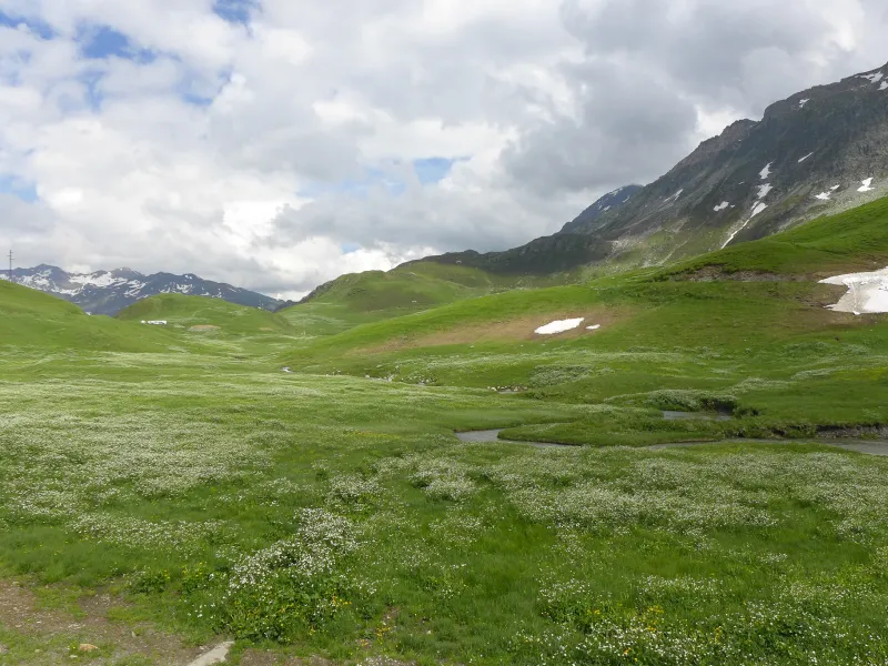 Beaufortain mountain pastures