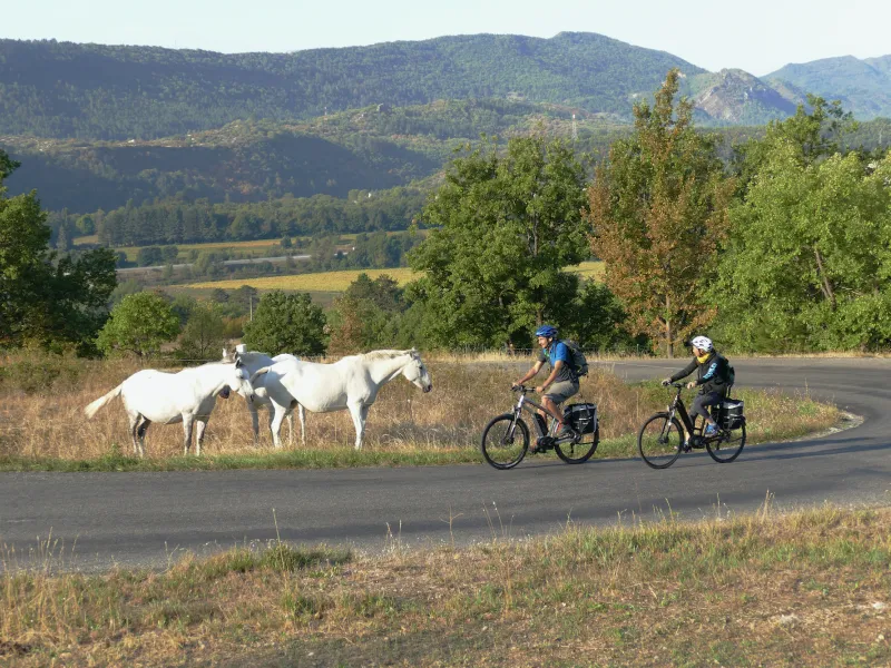 At the foot of the Col de Fontbelle as you leave Sisteron