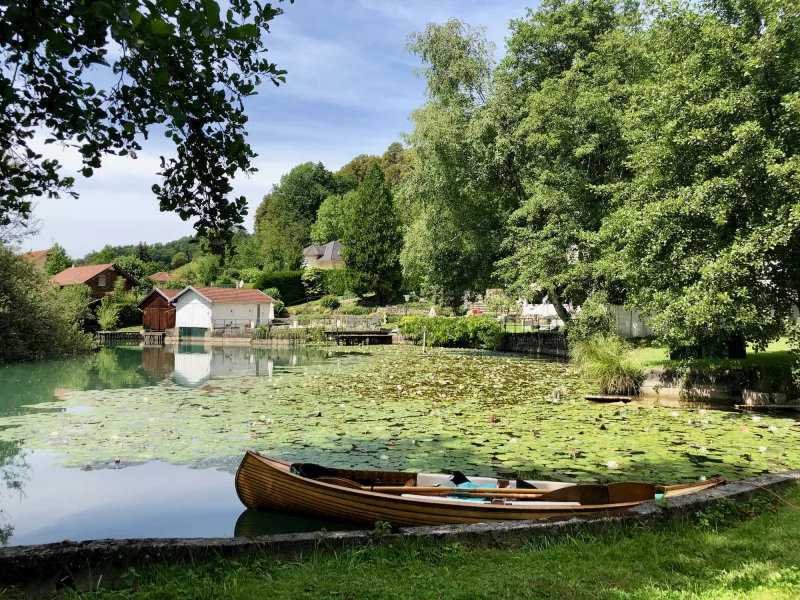 Boating in the marshes of the Lac d'Aiguebelette region