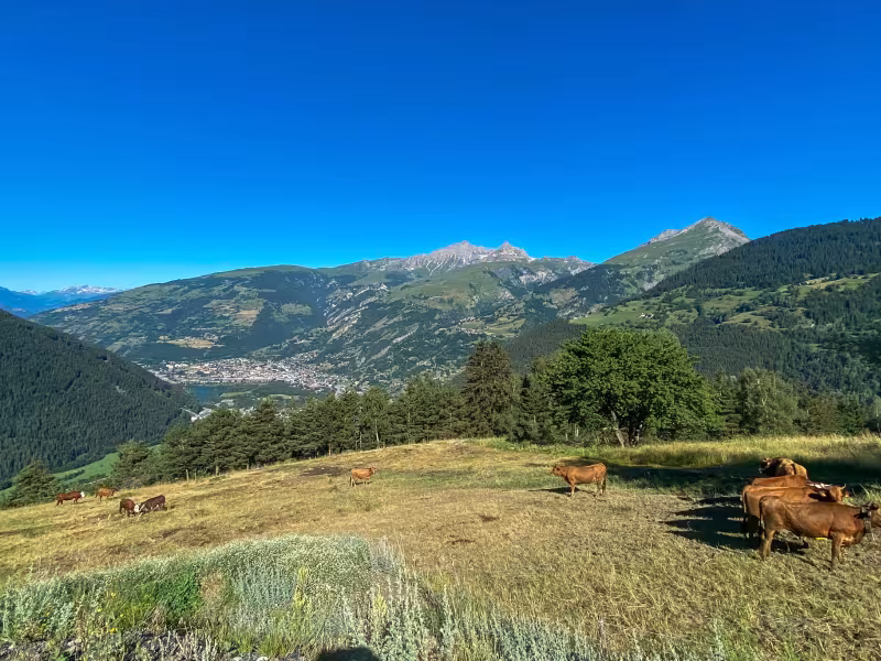 Bourg Saint Maurice