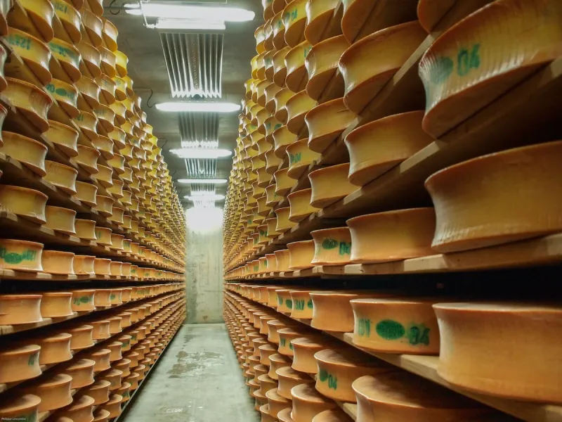 Beaufort PDO maturing cellar