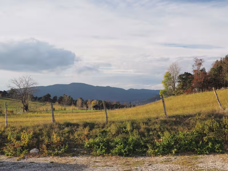 Fields and typical Vercors fence