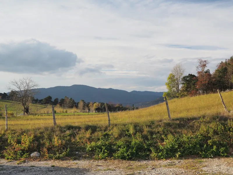 Fields and typical Vercors fence