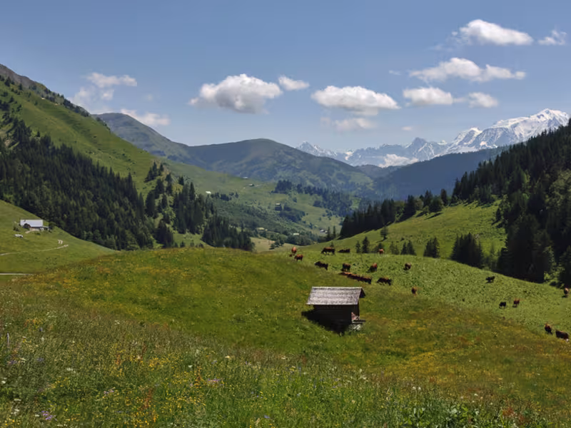 Aravis pass