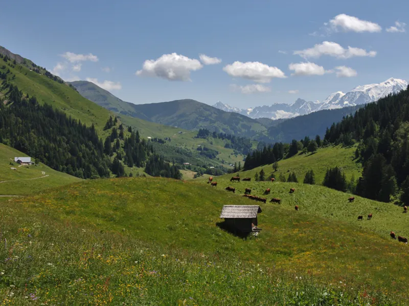 Aravis pass
