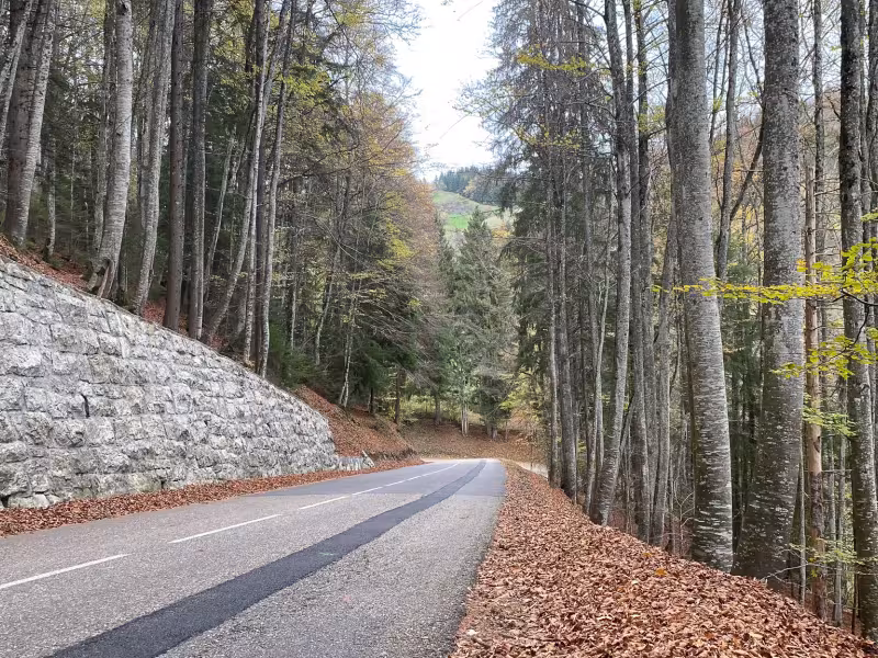 Descent from Col du Feu to Lullin