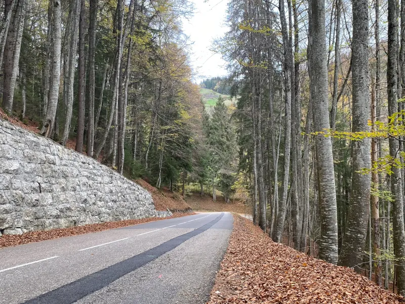 Descent from Col du Feu to Lullin