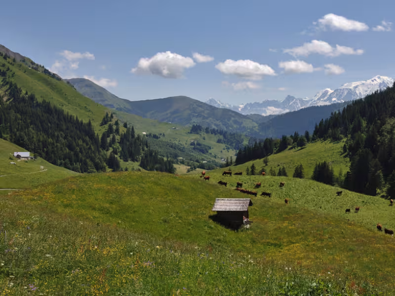 Descent to Val d'Arly from Col des Aravis