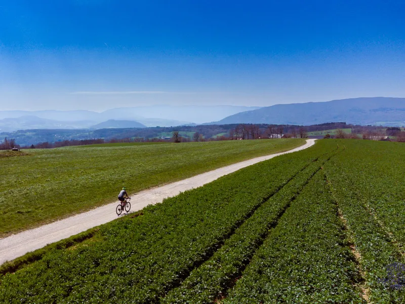 Head south on Mont Sion's gravel trails