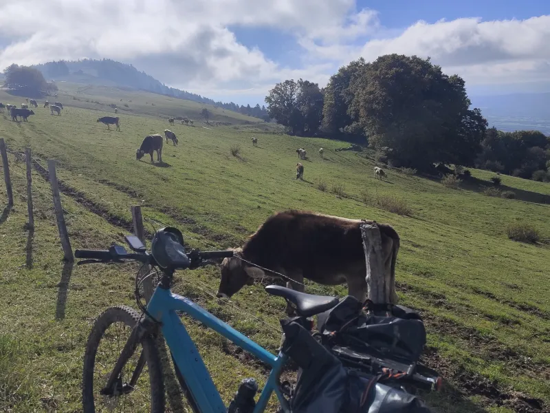 Cycling on the Salève