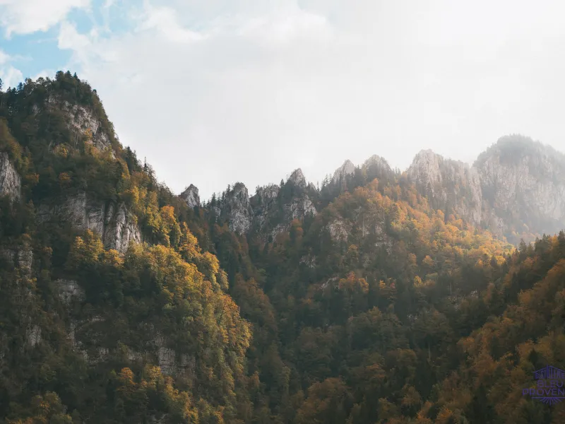 Autumn in the Chartreuse