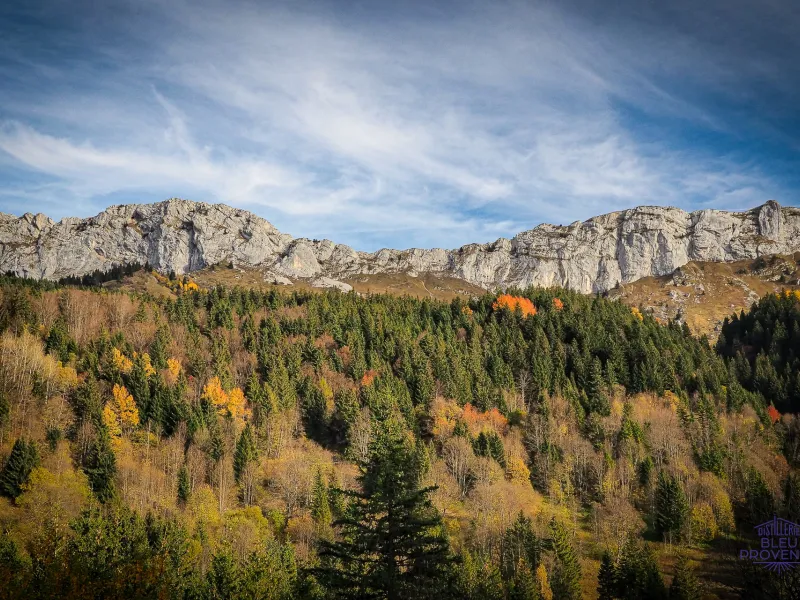 Autumn atmosphere around Villard-de-Lans