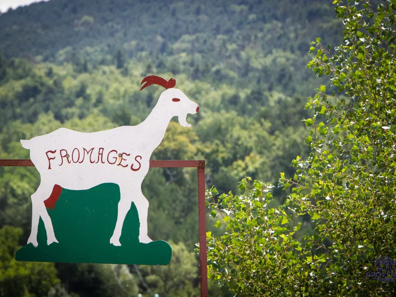 A Diois goat's cheese not to be missed