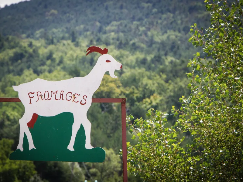A Diois goat's cheese not to be missed