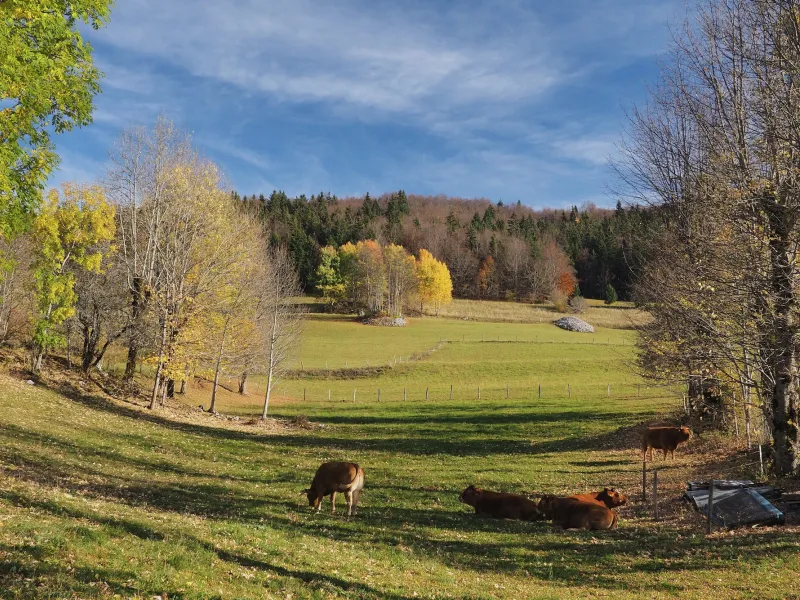 Vercors 4 Mountains landscape around Villard-de-Lans