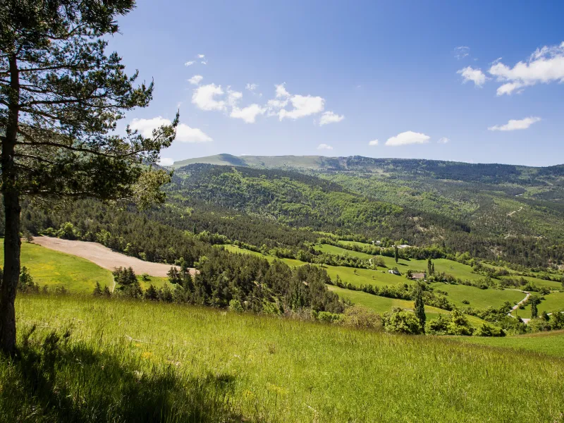 On the heights of Valdrôme