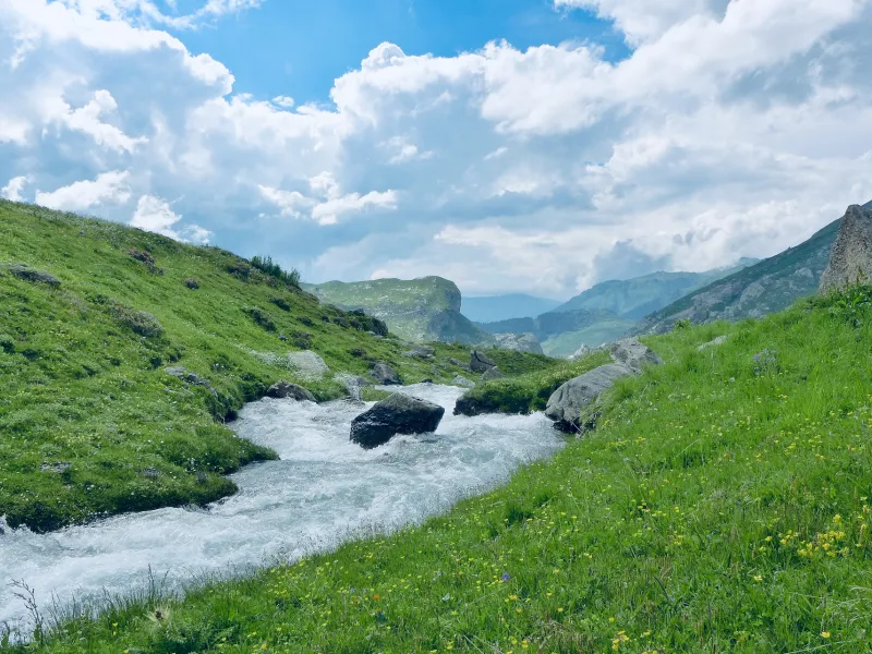 Torrent and mountain pastures of Cormet de Roselend