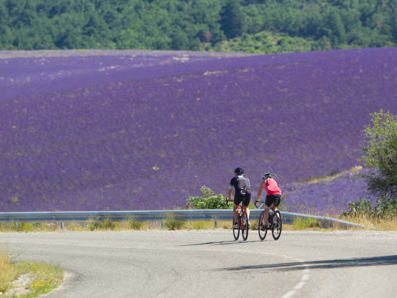 Cyclists in the Baronnies