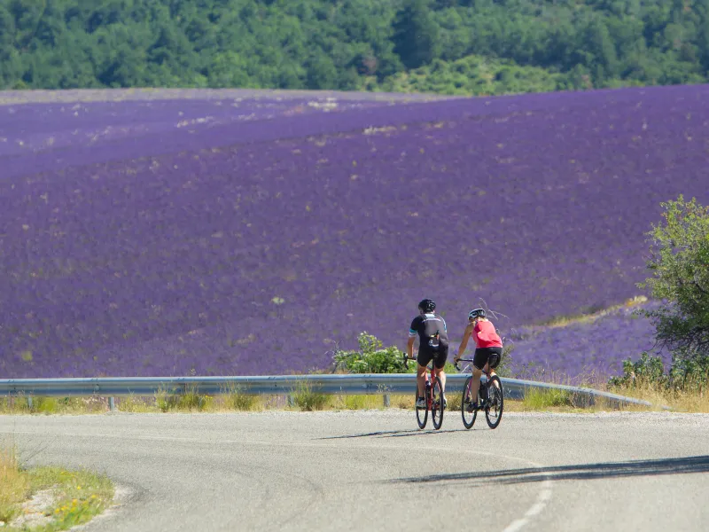 Cyclists in the Baronnies