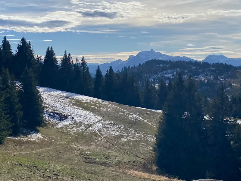 View from Col de Ranfoly