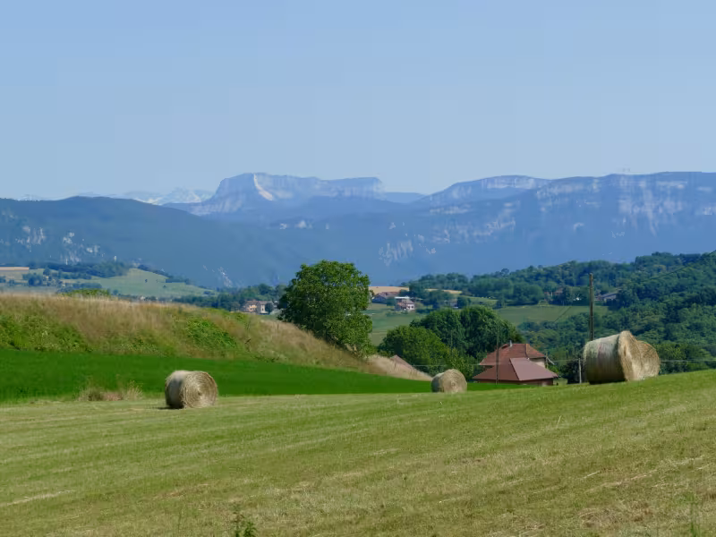 View of the Chartreuse from the Savoyard Foreland