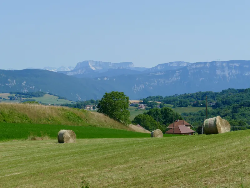 View of the Chartreuse from the Savoyard Foreland