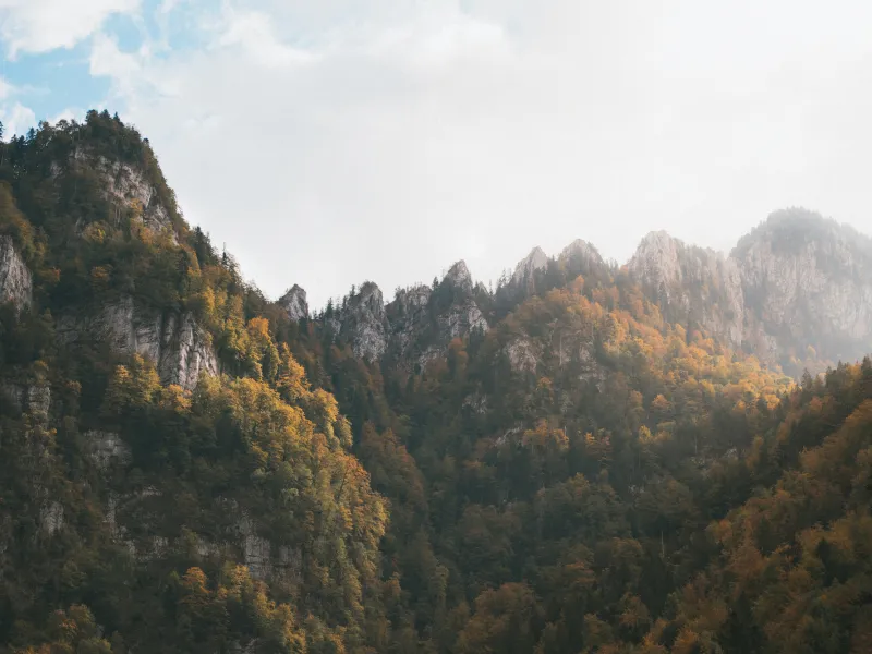 Autumn in the Chartreuse