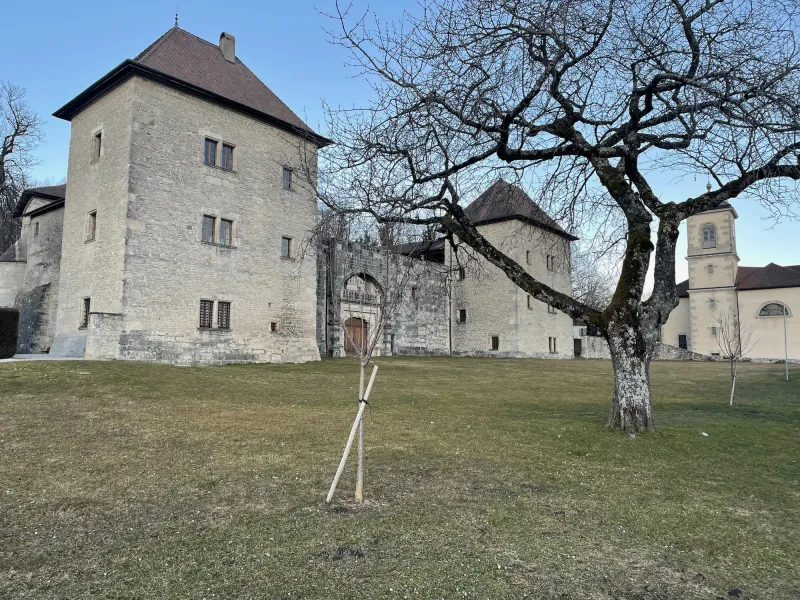 Château de Clermont, a must-see in the Albanais region