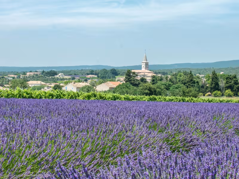 Routes de la lavande à vélo