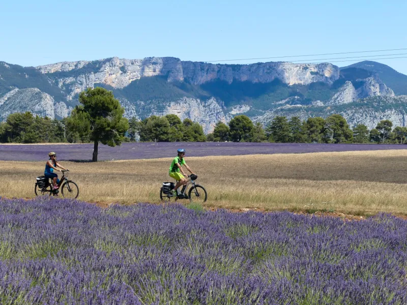 Routes de la lavande à vélo
