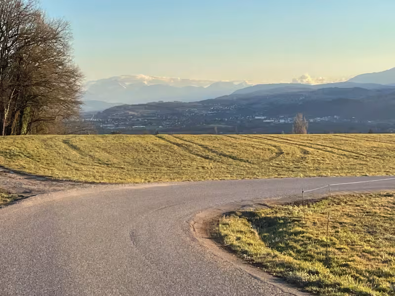 View of the Alps from Albannais