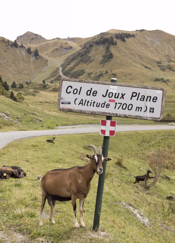 col de joux flat panel