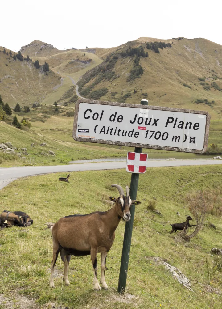 col de joux flat panel