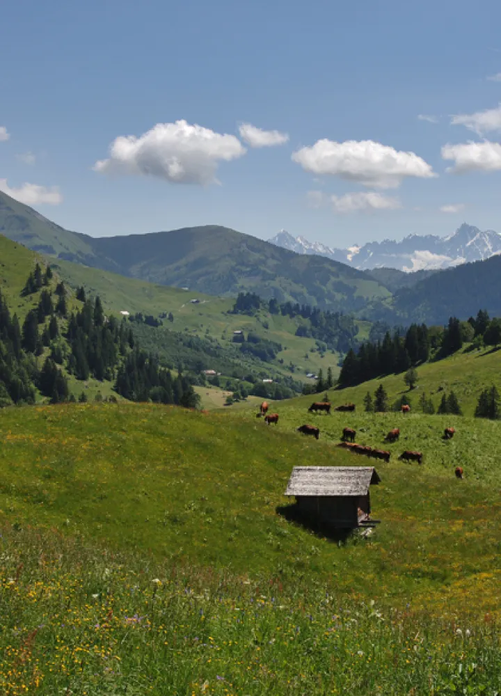 Descent to Val d'Arly from Col des Aravis