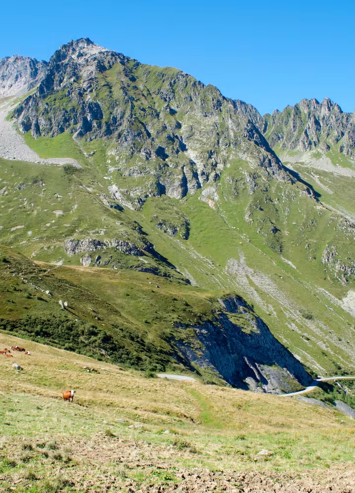 The south-western slope of the Col de la Madeleine