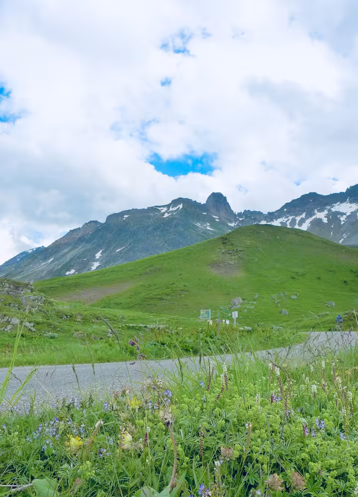 Green summit of Cormet de Roselend