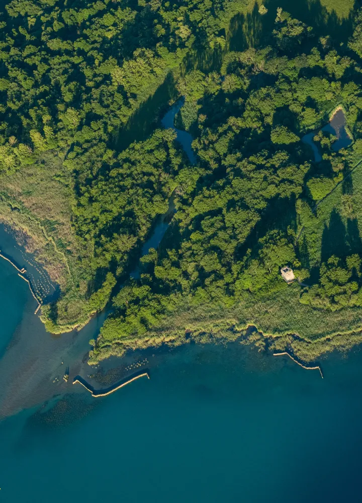 Doussard from the sky