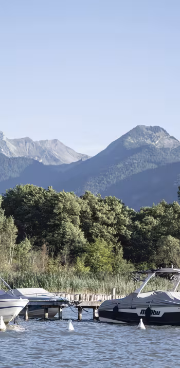 Lake Annecy springs - 1