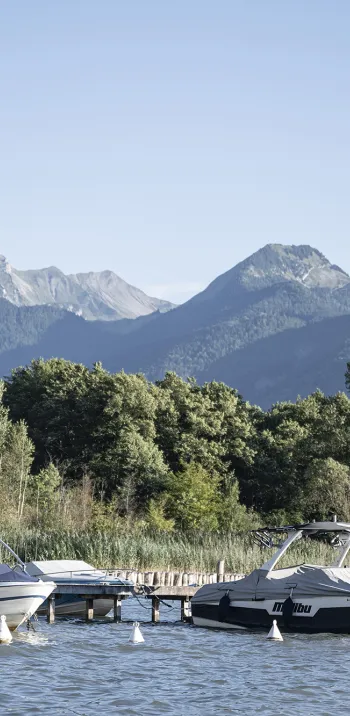 Lake Annecy springs - 1