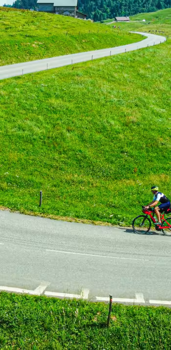 DJI_0956.jpg