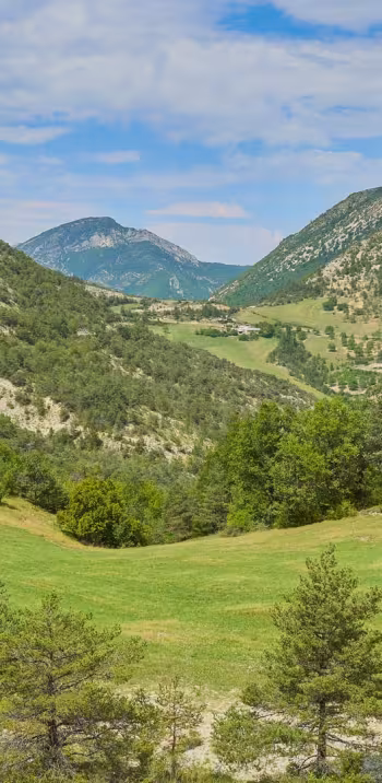 pre-alpes-velorizons.jpg
