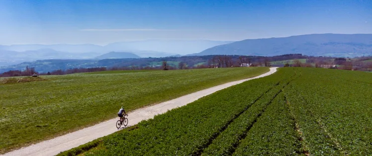Head south on Mont Sion's gravel trails