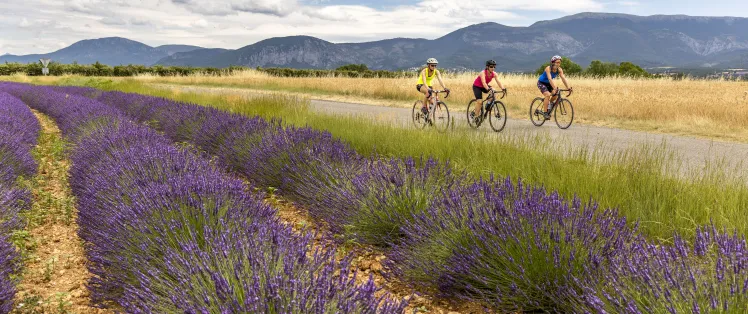 HAUTE PROVENCE_vélo route_Grand Tour Provence Alpes_Thibaut VERGOZ_2021 (117).jpg