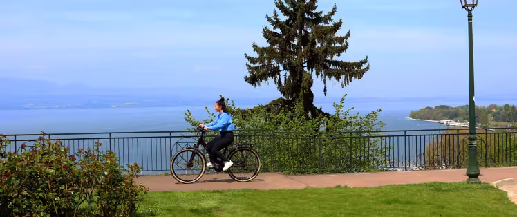 banière velo.jpg