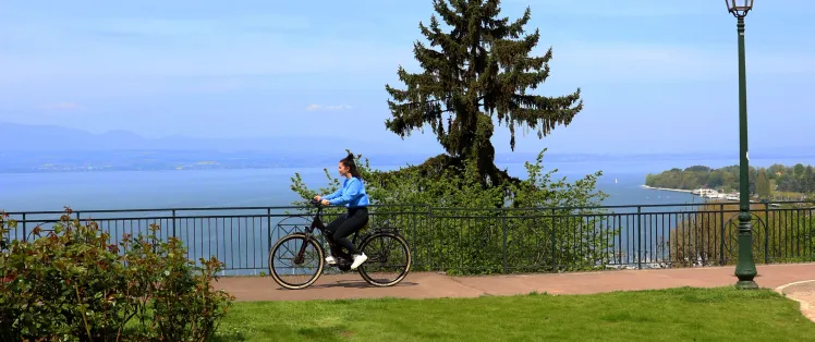 banière velo.jpg