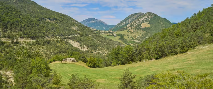 pre-alpes-velorizons.jpg