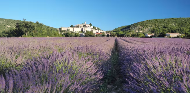 Simiane-la-Rotonde - Château-Arnoux-Saint-Auban (Variante par Montagne de Lure)