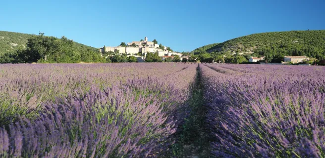 Simiane-la-Rotonde - Château-Arnoux-Saint-Auban (Variante par Montagne de Lure)