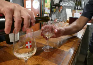 Savoie wine tasting